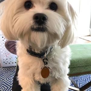 Meet your Posher, Nikki